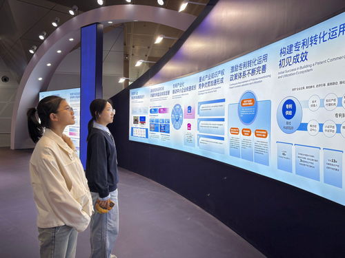 我校師生參加第十四屆中國(guó)國(guó)際專利技術(shù)與產(chǎn)品交易會(huì)，聚焦信息技術(shù)咨詢服務(wù)創(chuàng)新
